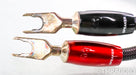 AudioQuest William Tell ZERO Speaker Cables; 10ft Pair; 72v DBS
