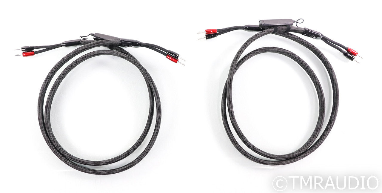 AudioQuest William Tell Silver ZERO Speaker Cables; 8ft Pair; 72v DBS