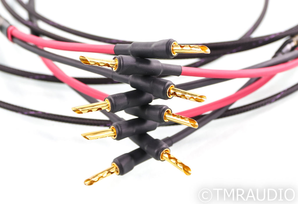 Audience Studio TWO Speaker Cables; 2.5m Pair (Open Box)