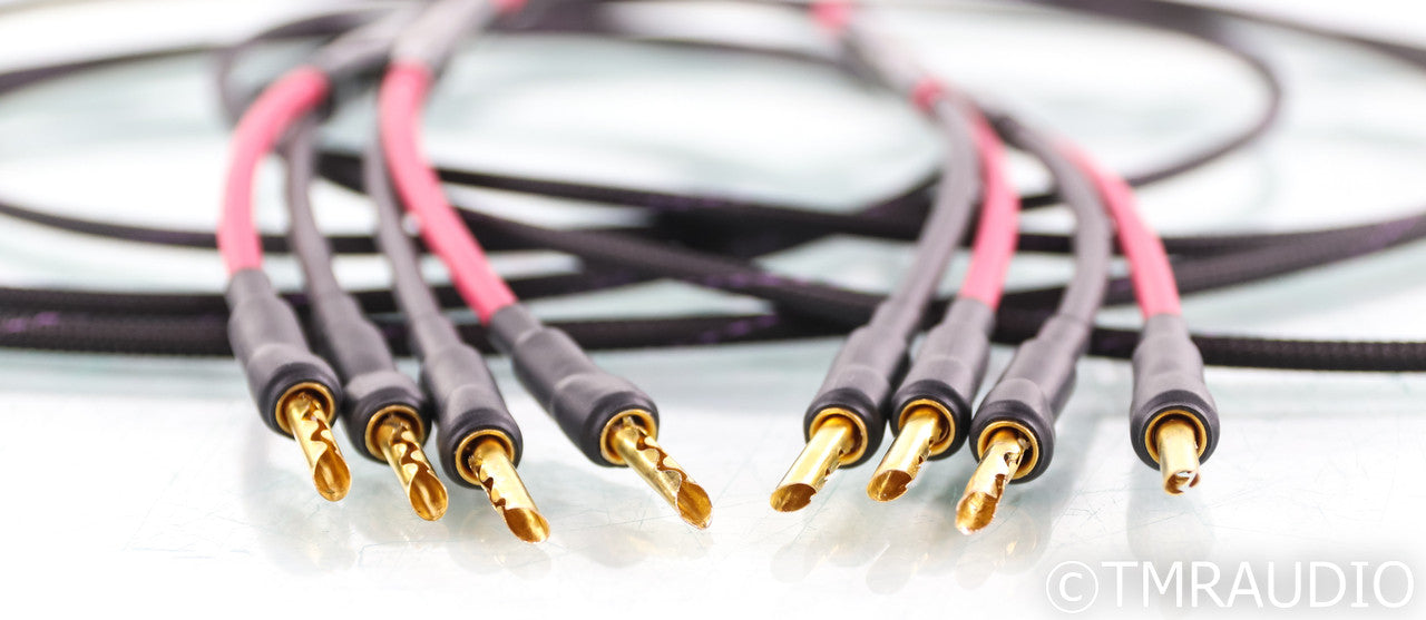 Audience Studio TWO Speaker Cables; 2.5m Pair (Open Box)