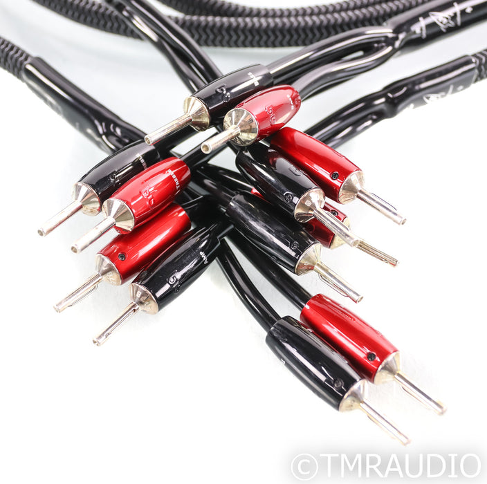 AudioQuest Rocket 44 Bi-Wire Speaker Cables; 10ft Pair