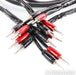 AudioQuest Rocket 44 Bi-Wire Speaker Cables; 10ft Pair