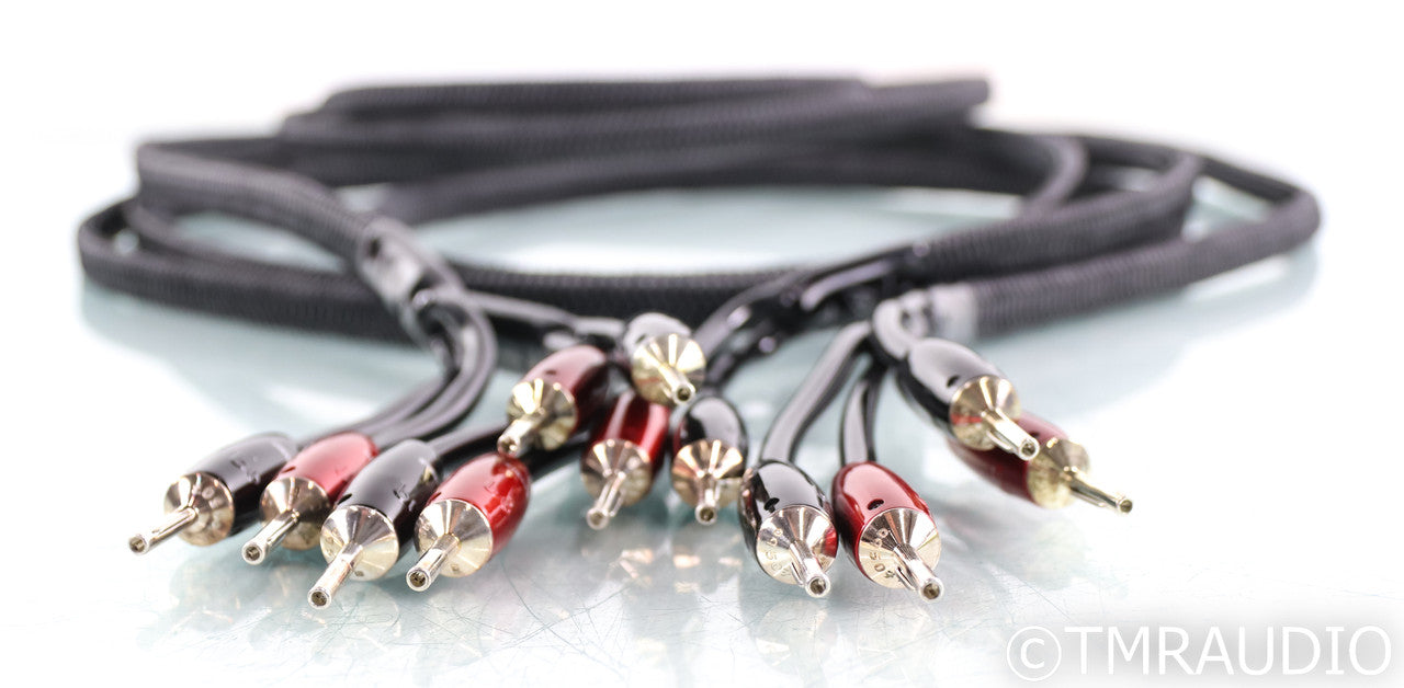 AudioQuest Rocket 44 Bi-Wire Speaker Cables; 10ft Pair