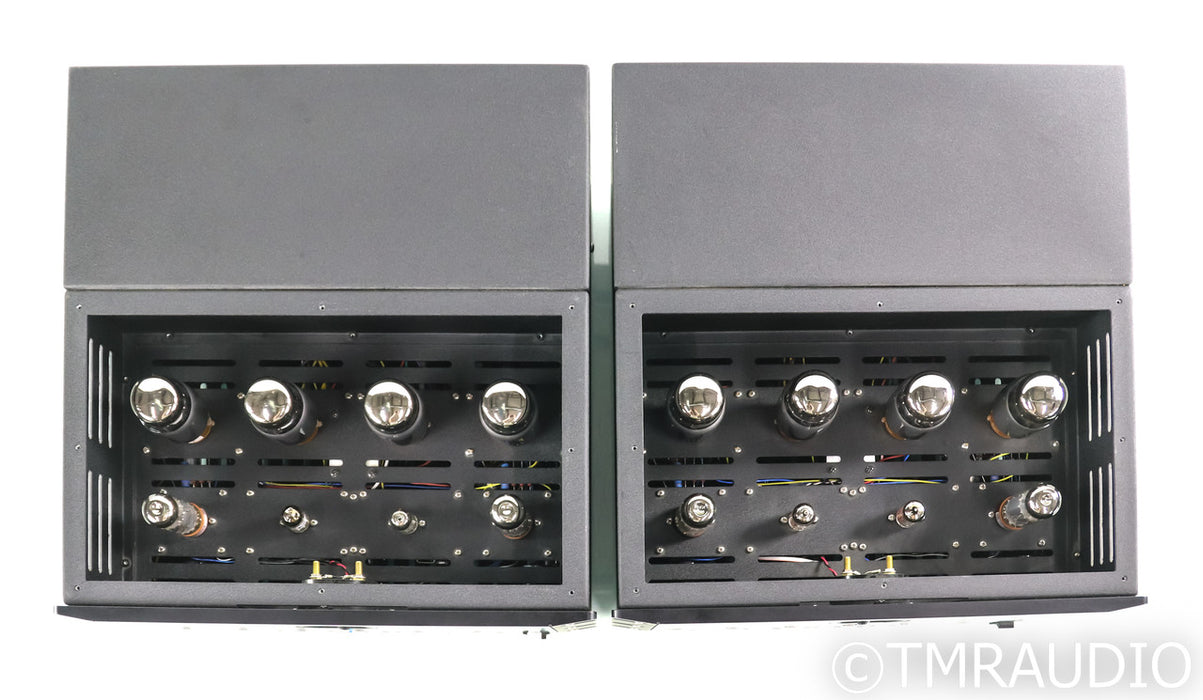 Wavestream Kinetics Boxter M100 Mono Tube Power Amplifier; Pair
