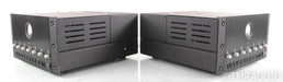 Wavestream Kinetics Boxter M100 Mono Tube Power Amplifier; Pair