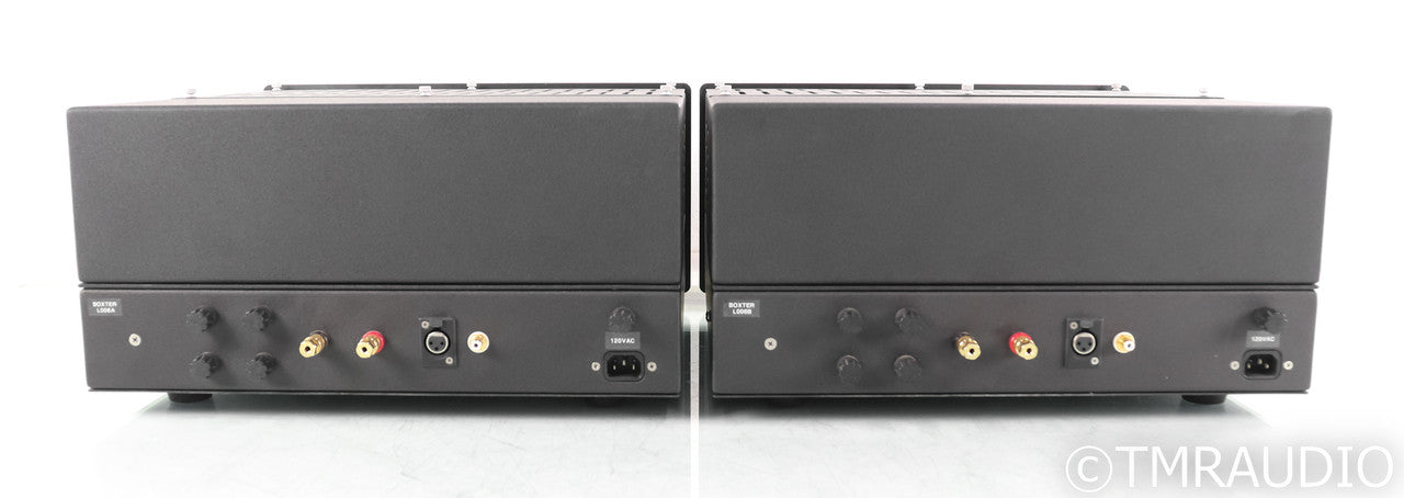 Wavestream Kinetics Boxter M100 Mono Tube Power Amplifier; Pair
