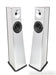 YG Acoustics Carmel Floorstanding Speakers; Brushed Aluminum Pair