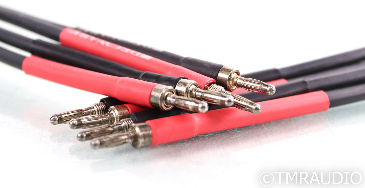Decware Styx Silver Reference Speaker Cable; 20ft Pair