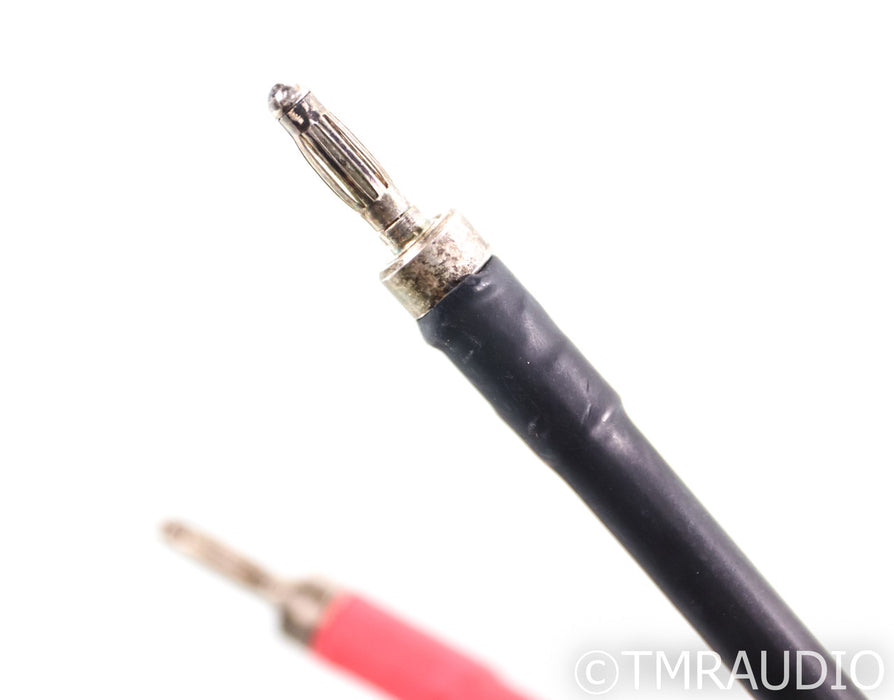 Decware Styx Silver Reference Speaker Cable; 20ft Pair