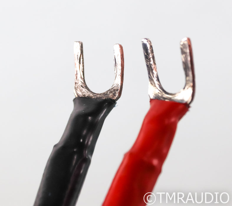 AudioQuest Mont Blanc Speaker Cables; 10ft Pair; 72v DBS