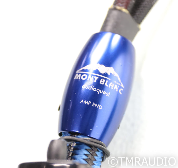 AudioQuest Mont Blanc Speaker Cables; 10ft Pair; 72v DBS