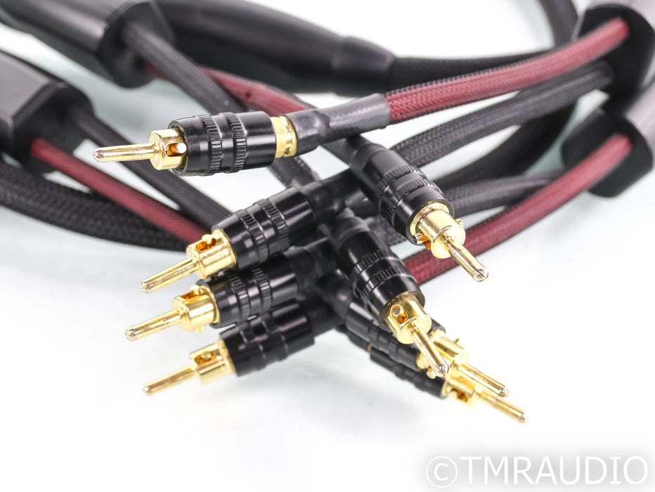 Transparent MusicWave Plus Speaker Cables; 8ft Pair; MM2 (Gen 4)