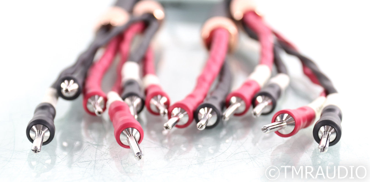 Cardas Clear Reflection Bi-Wire Speaker Cables; 1m Pair