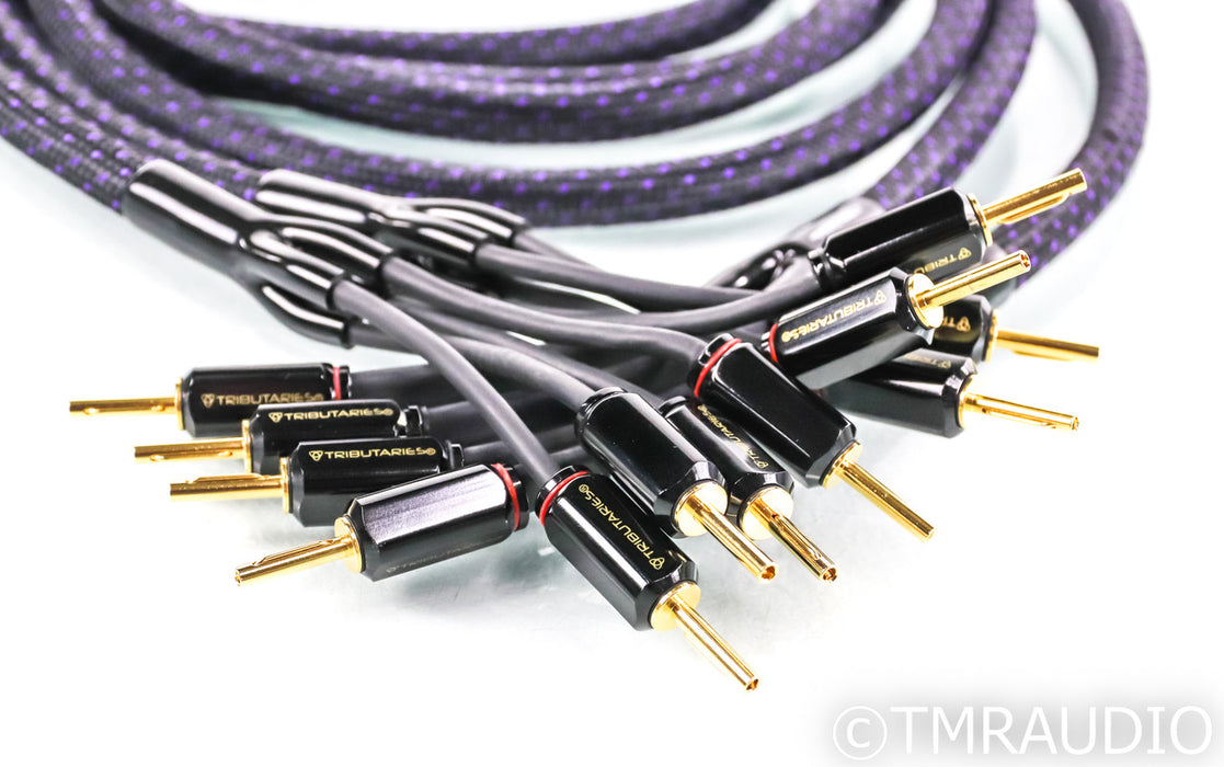 Tributaries 6BW Bi-Wire Speaker Cables; 6-BW; 8ft Pair