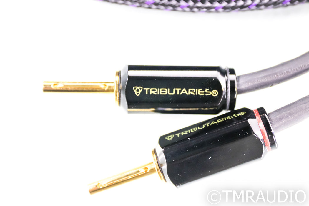 Tributaries 6BW Bi-Wire Speaker Cables; 6-BW; 8ft Pair