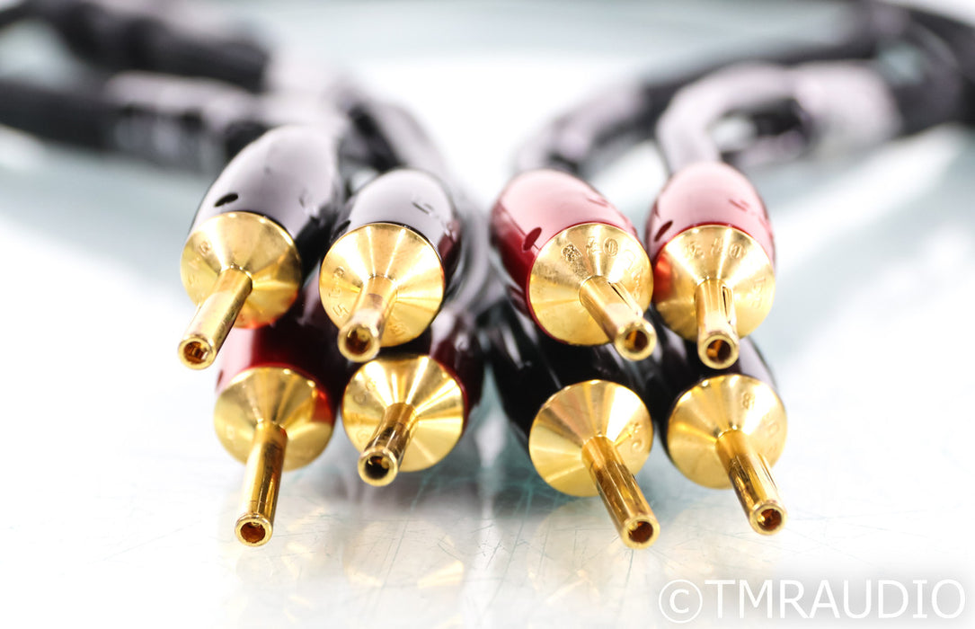 AudioQuest Rocket 88 Full Range Speaker Cables; 1m Pair; 72v DBS