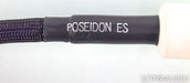Silnote Audio Poseidon ES Power Cable; 1.5m AC Cord