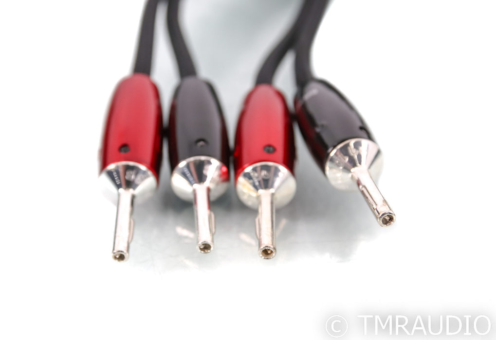 AudioQuest Robin Hood ZERO Speaker Cables; 8ft Pair (Open Box)