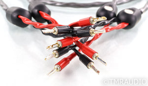 WireWorld Equinox 8 Speaker Cables; 10ft Pair