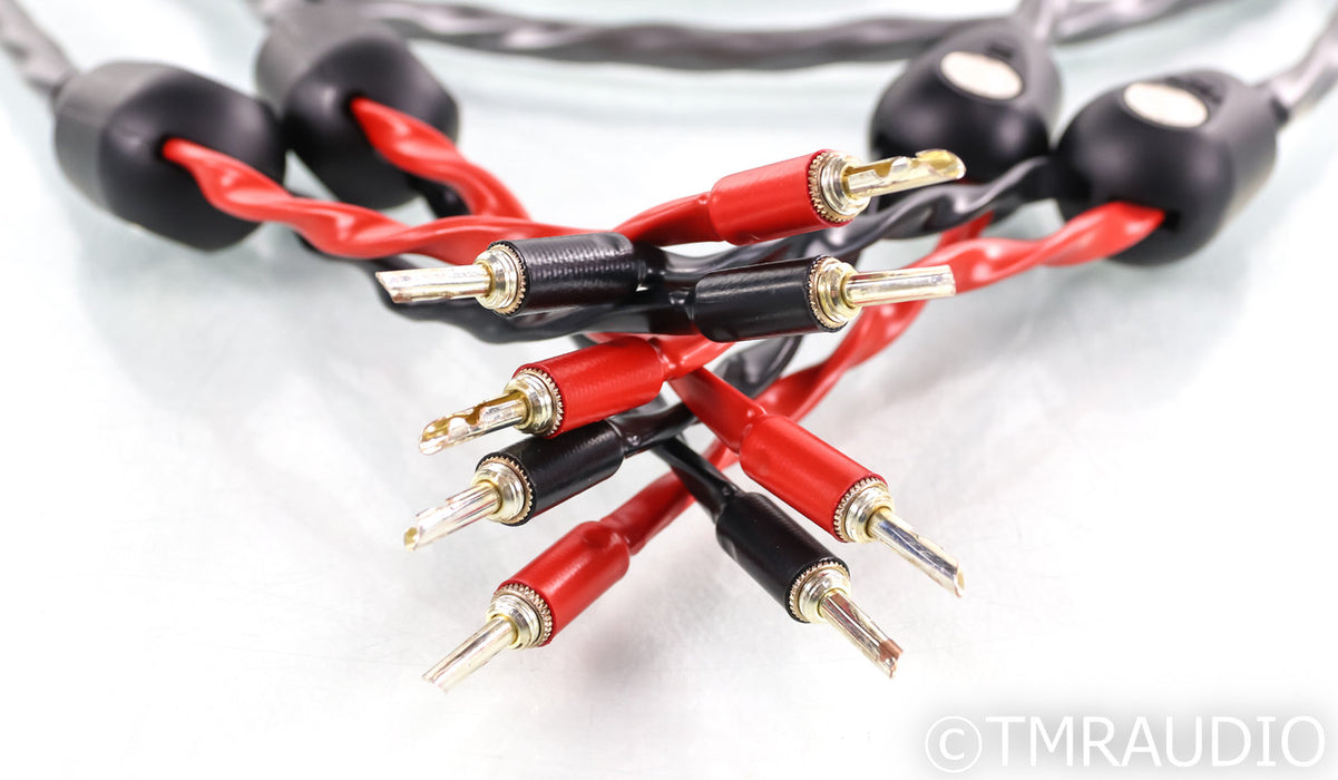 WireWorld Equinox 8 Speaker Cables; 10ft Pair