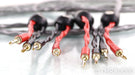 WireWorld Equinox 8 Speaker Cables; 10ft Pair
