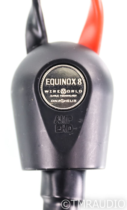 WireWorld Equinox 8 Speaker Cables; 10ft Pair