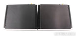 Sanders ESL Mono Power Amplifier; Silver Pair