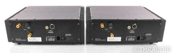 Sanders ESL Mono Power Amplifier; Silver Pair