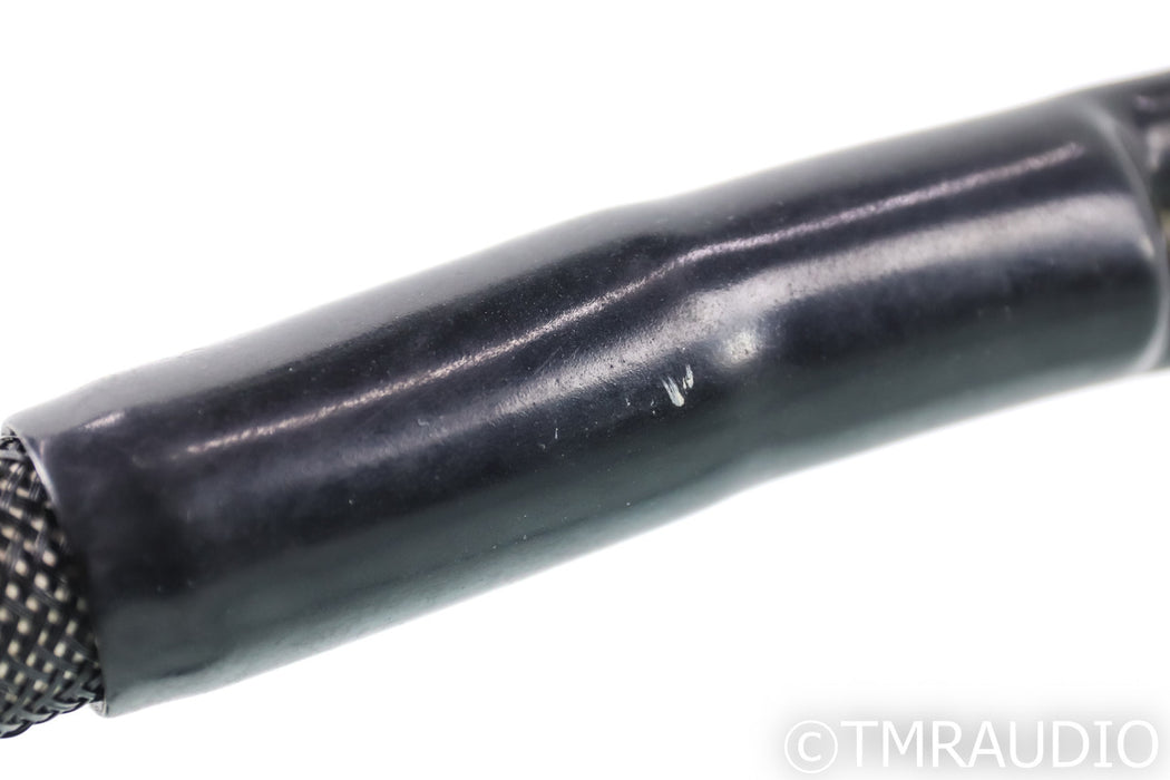 Transparent Audio MusicWave Super Speaker Cable; 8ft Pair