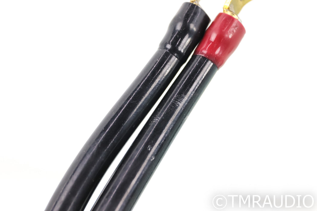 Transparent Audio MusicWave Super Speaker Cable; 8ft Pair