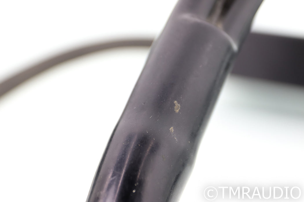 Transparent Audio MusicWave Super Speaker Cable; 8ft Pair