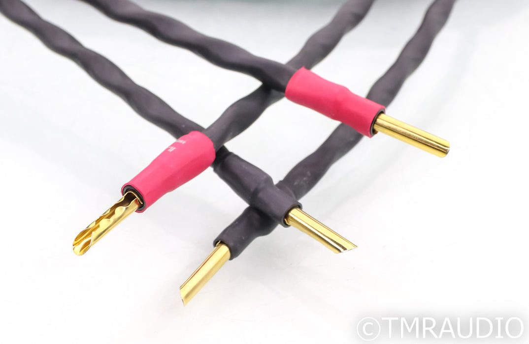 Synergistic Research Element CTS Bi-Wire Speaker Cables; 8ft Pair