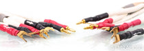 Luminous Audio Renaissance Bi-Wire Speaker Cables; 8ft Pair