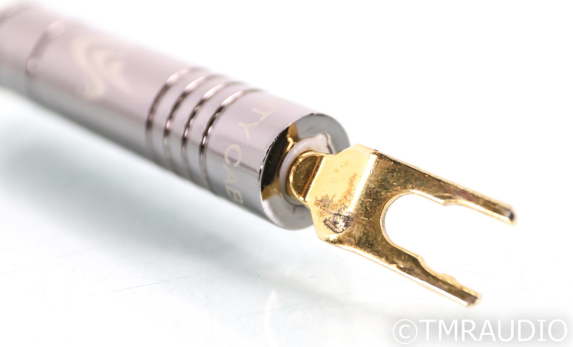 High Fidelity Cables CT-1 Speaker Cables; 2.5m Pair