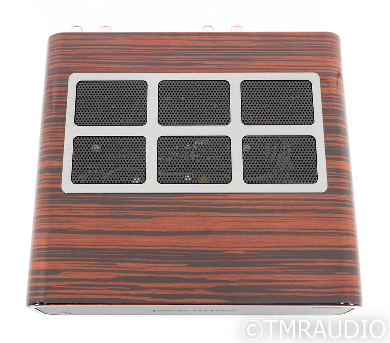 Peachtree GaN400 Stereo Power Amplfiier; GaN400; Wood
