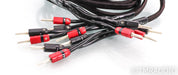 AudioQuest Rocket 33 Bi-Wire Speaker Cables; 15ft Pair