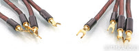 Tara Labs The 2 Speaker Cables; 8ft Pair; Switchable Terminations