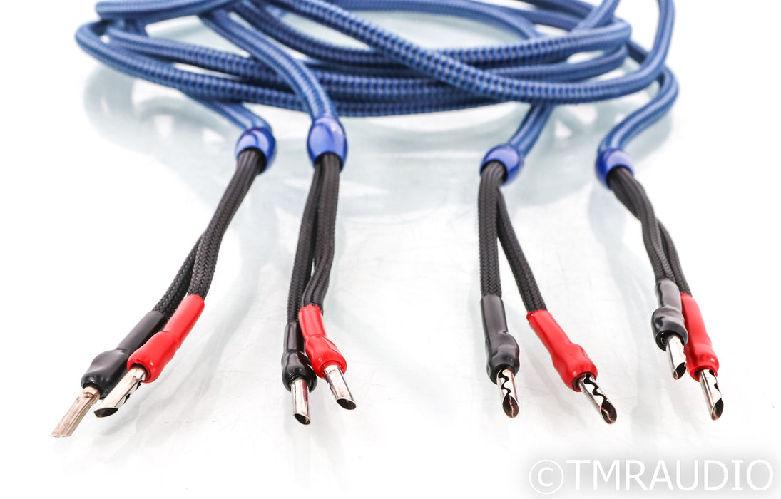 AudioQuest Type 4 Speaker Cable; 10ft Pair