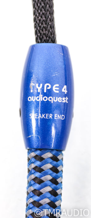 AudioQuest Type 4 Speaker Cable; 10ft Pair