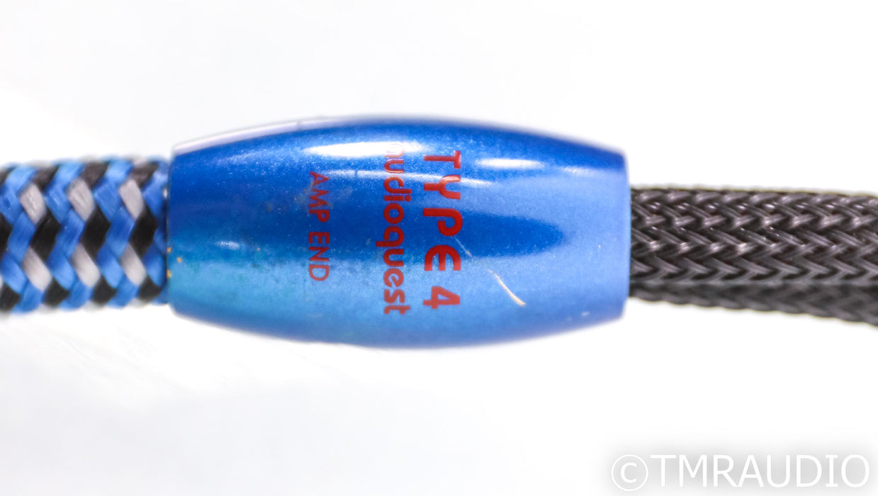 AudioQuest Type 4 Speaker Cable; 10ft Pair