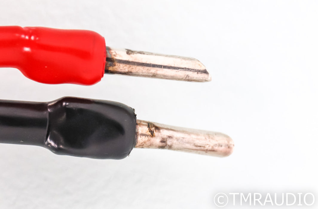 AudioQuest Type 4 Speaker Cable; 10ft Pair