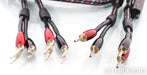 AudioQuest CV-8 Speaker Cables; 12ft Pair; 500 Series Terminations; 72v DBS