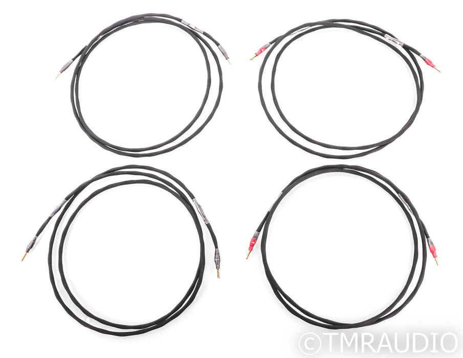 Synergistic Research Foundation Speaker Cables; 8ft Pair