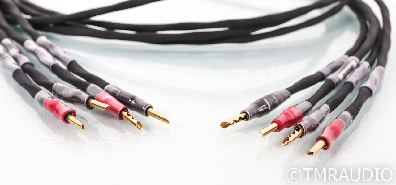 Synergistic Research Foundation Speaker Cables; 8ft Pair