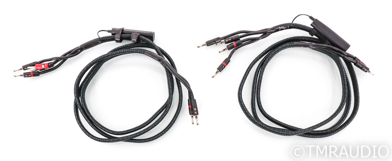 AudioQuest Rocket 88 Bi-Wire Speaker Cables; 8ft Pair; 72v DBS