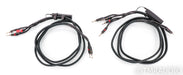 AudioQuest Rocket 88 Bi-Wire Speaker Cables; 8ft Pair; 72v DBS