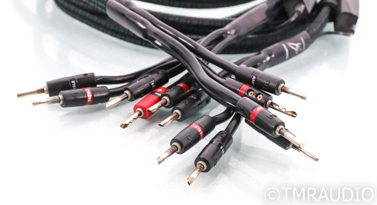 AudioQuest Rocket 88 Bi-Wire Speaker Cables; 8ft Pair; 72v DBS