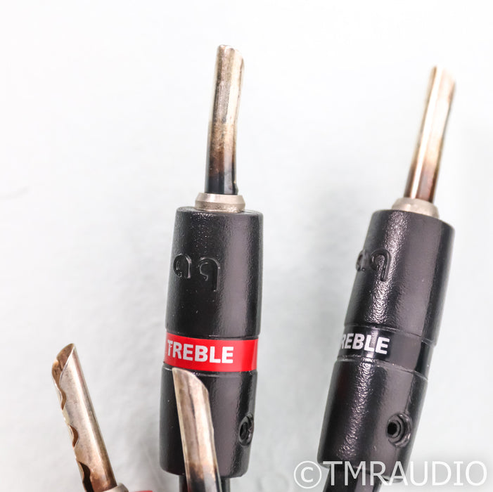AudioQuest Rocket 88 Bi-Wire Speaker Cables; 8ft Pair; 72v DBS