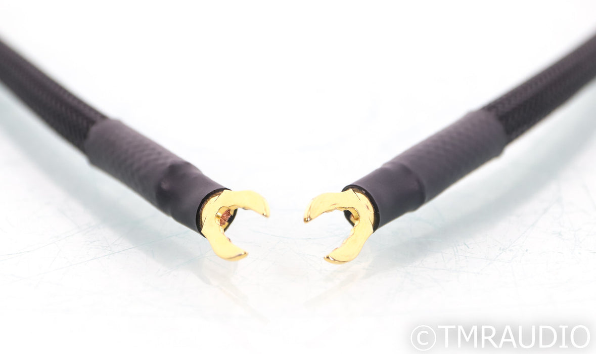 Shunyata Research Alpha v2 Grounding Wire; 1m CGC / SGC Cable