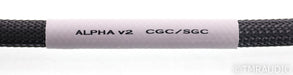 Shunyata Research Alpha v2 Grounding Wire; 1m CGC / SGC Cable